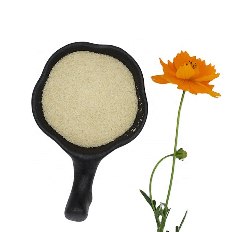 Best Selling Beef Skin Halal halal gelatin powder 220bloom gelatin free foods for Gummy